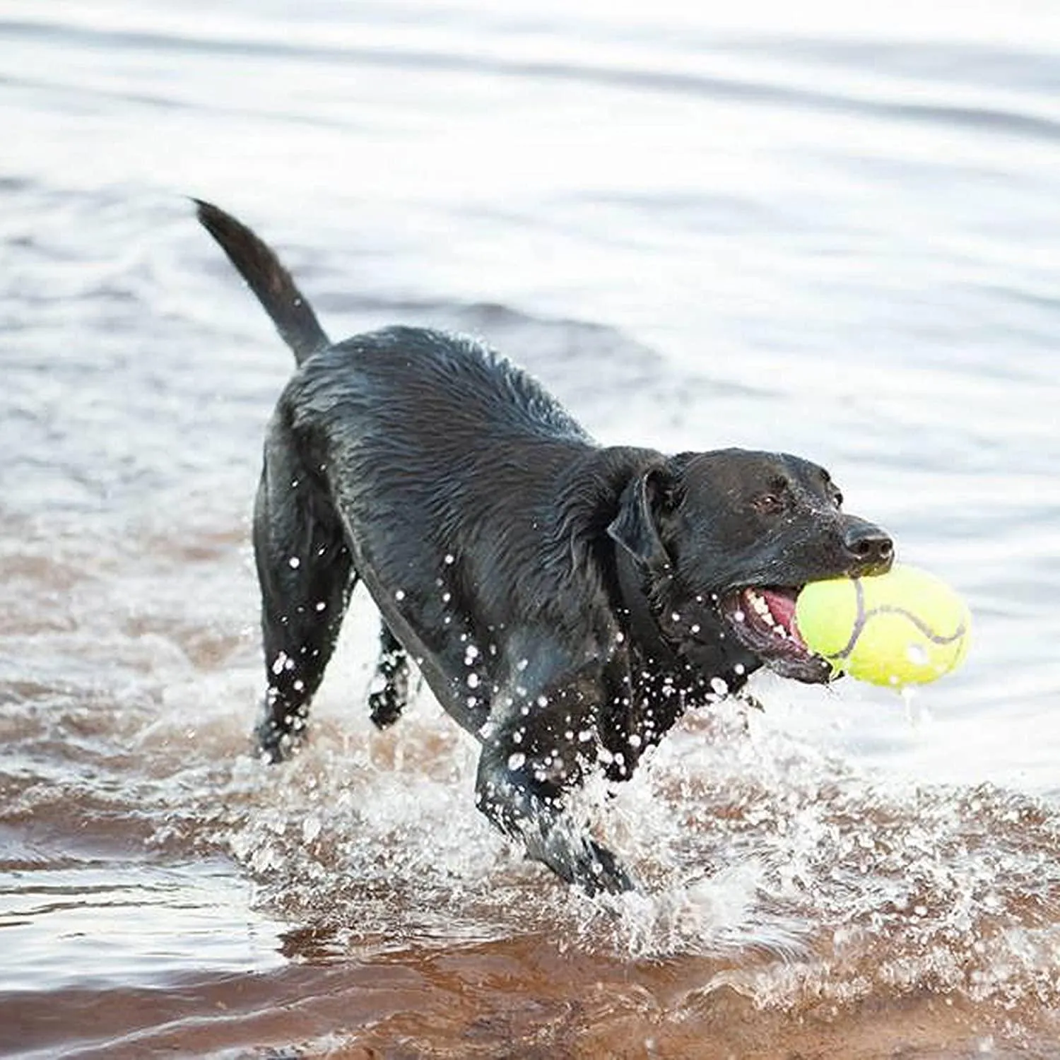 Air Kong Fetch Stick