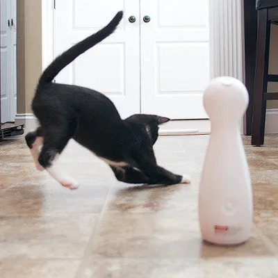 BOLT Laser Interactive Cat Toy