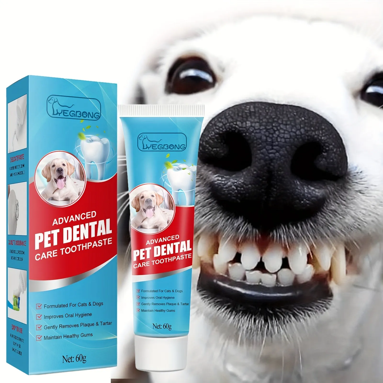 Freshen up your pets smile with professional dental care