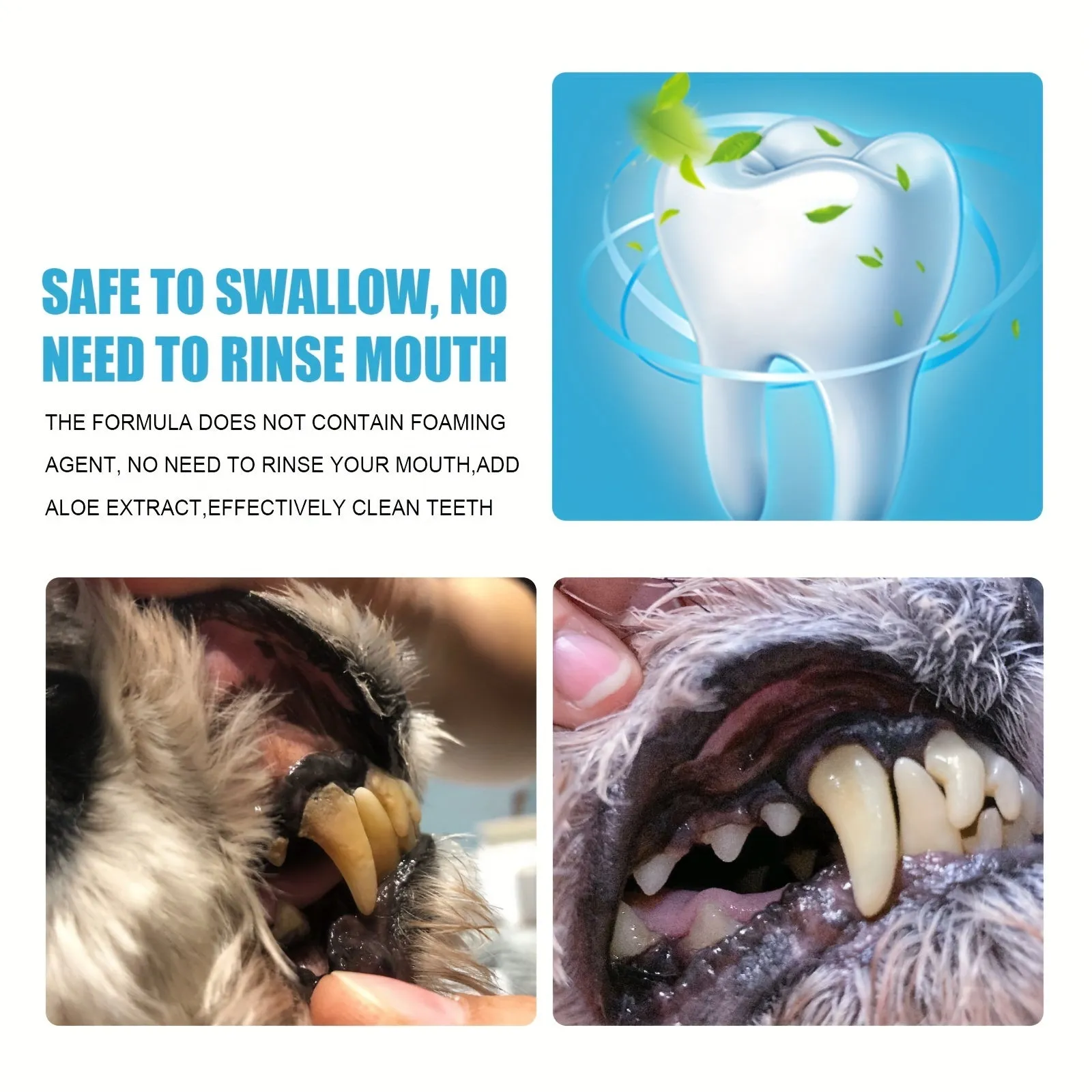 Freshen up your pets smile with professional dental care