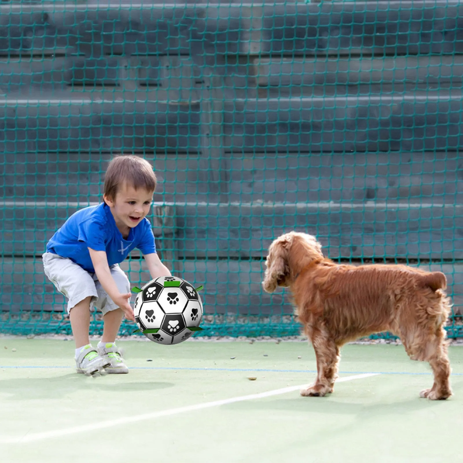 Interactive Dog Soccer Ball