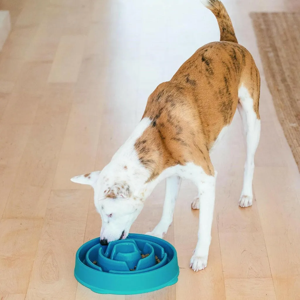 Outward Hound Fun Feeder Slo Bowl Slow Feeder Dog Bowl, Turquoise Drop